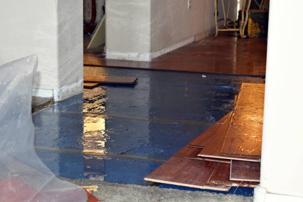 Professional Water Damage Restoration technician working in Williamstown, OH